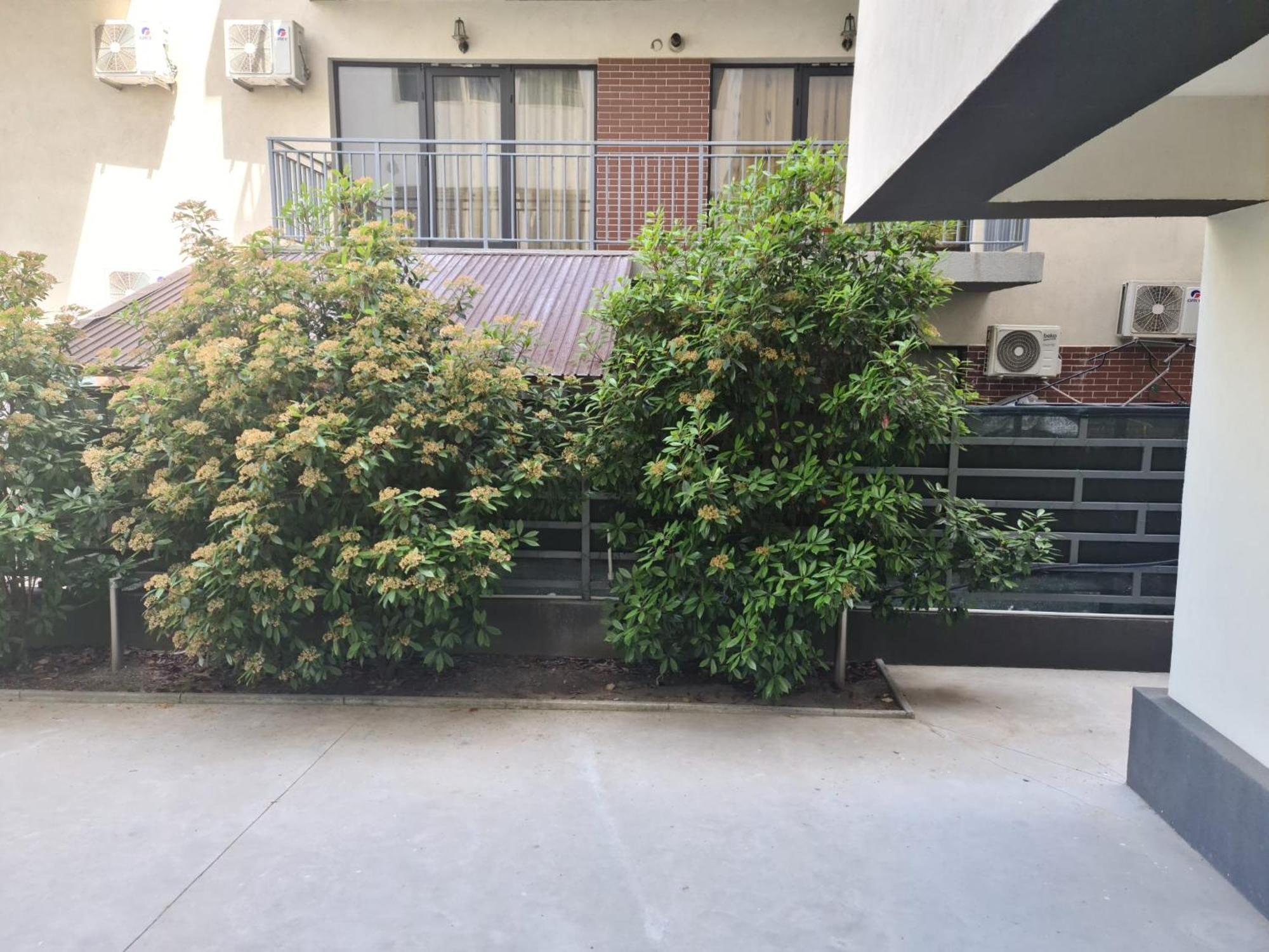 Apartament Deea ナボダリ エクステリア 写真